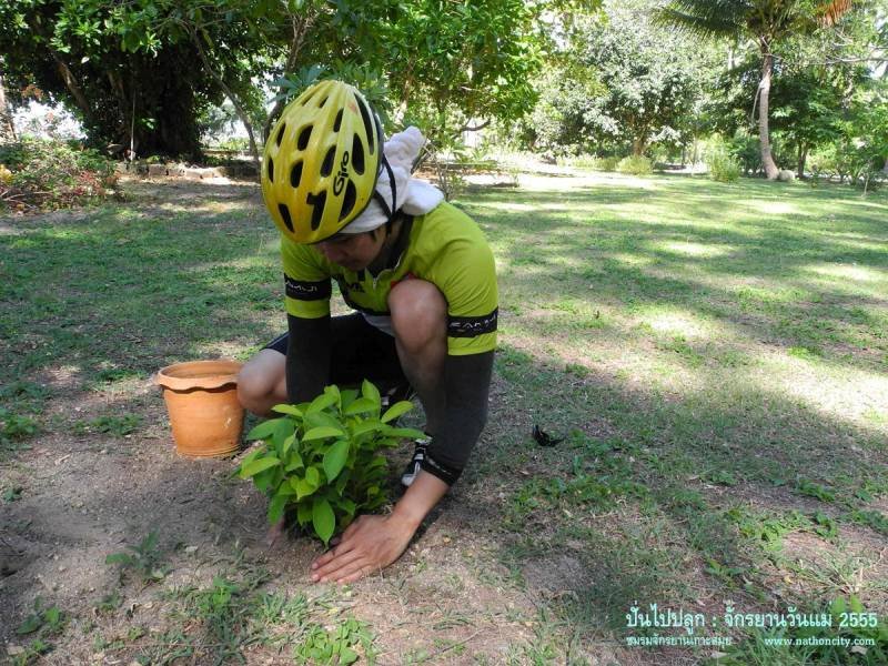 คำอธิบายภาพ
