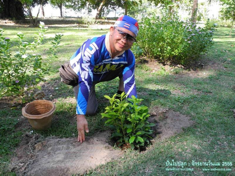 คำอธิบายภาพ
