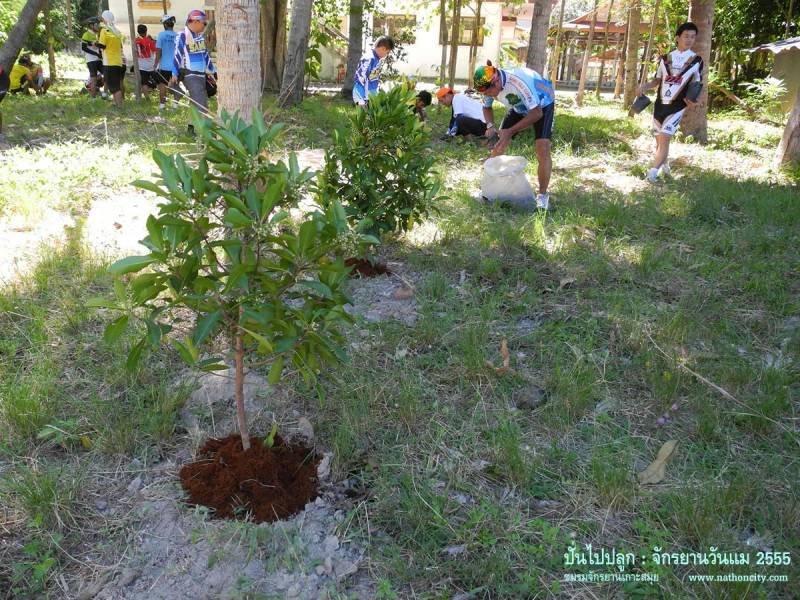 คำอธิบายภาพ