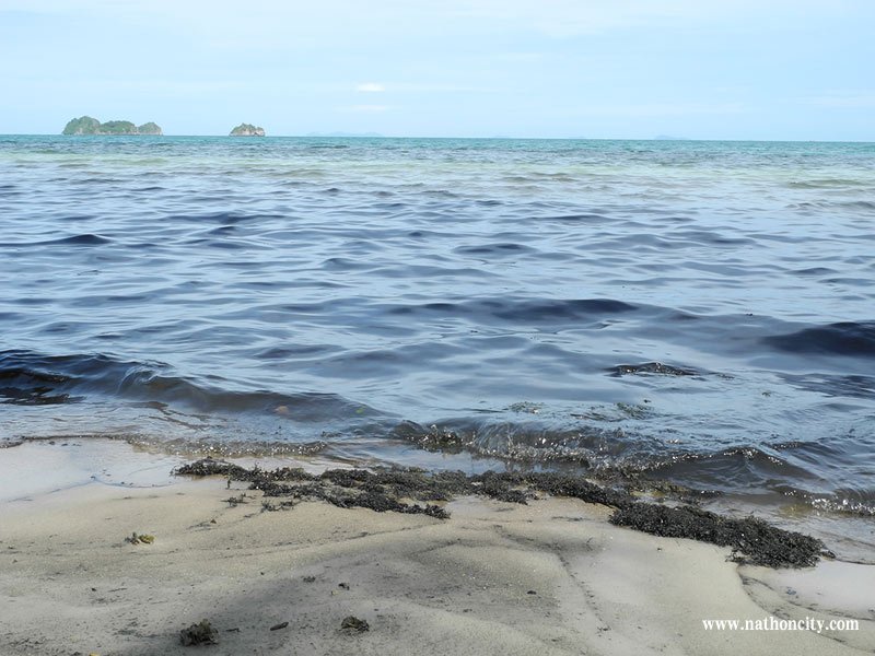  คำอธิบายภาพ : DSCN9842 