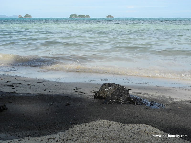  คำอธิบายภาพ : DSCN9850 