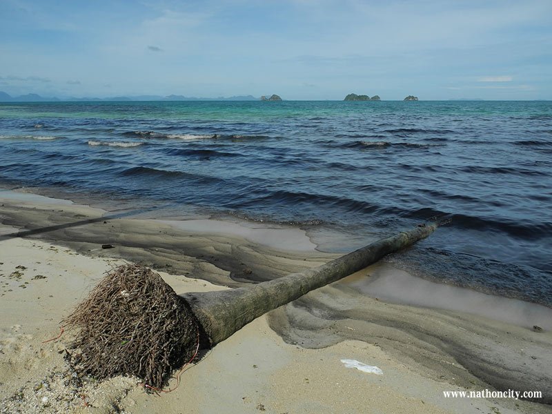  คำอธิบายภาพ : DSCN9877 