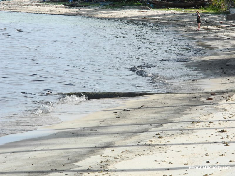  คำอธิบายภาพ : DSCN9879 