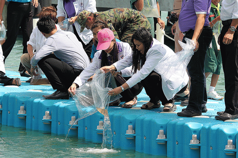 ชื่อภาพ : IMG_6042 คำอธิบายภาพ : IMG_6042