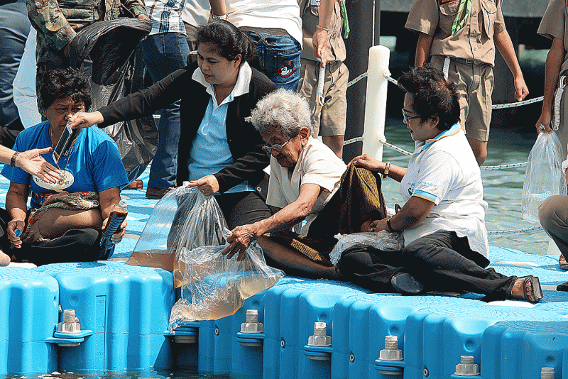ชื่อภาพ : IMG_6043 คำอธิบายภาพ : IMG_6043