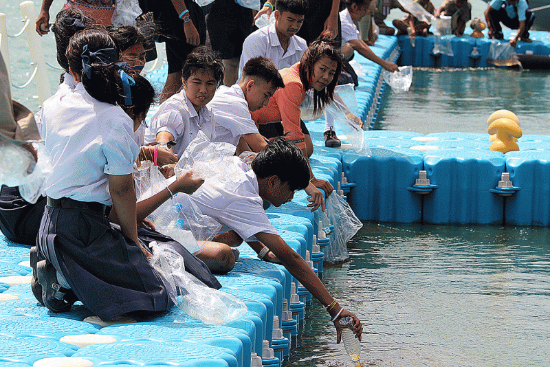ชื่อภาพ : IMG_6053 คำอธิบายภาพ : IMG_6053