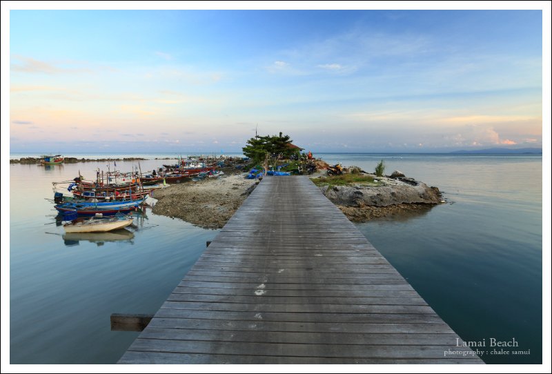 Photo :  , 800x542 pixel 242,024 bytes