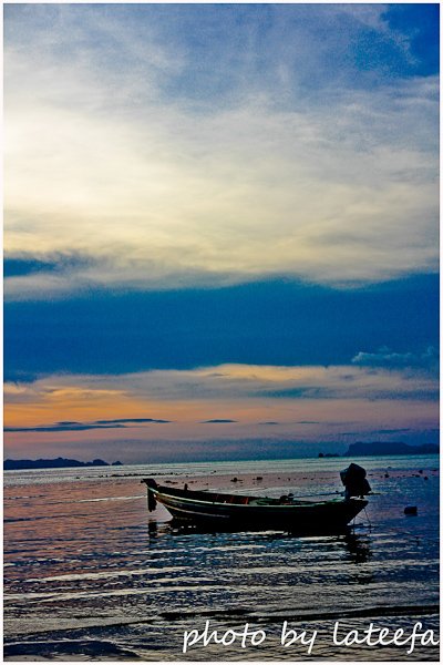 Photo :  , 400x600 pixel 184,305 bytes